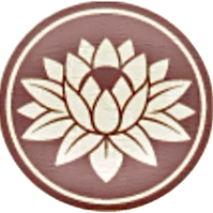 SMS Nursing – your well-being is my priority